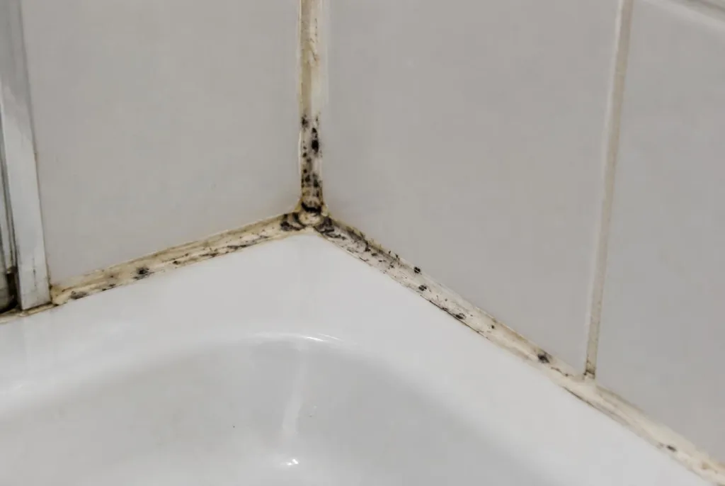 Kitbedrijf Zeewolde – beschimmelde kitranden